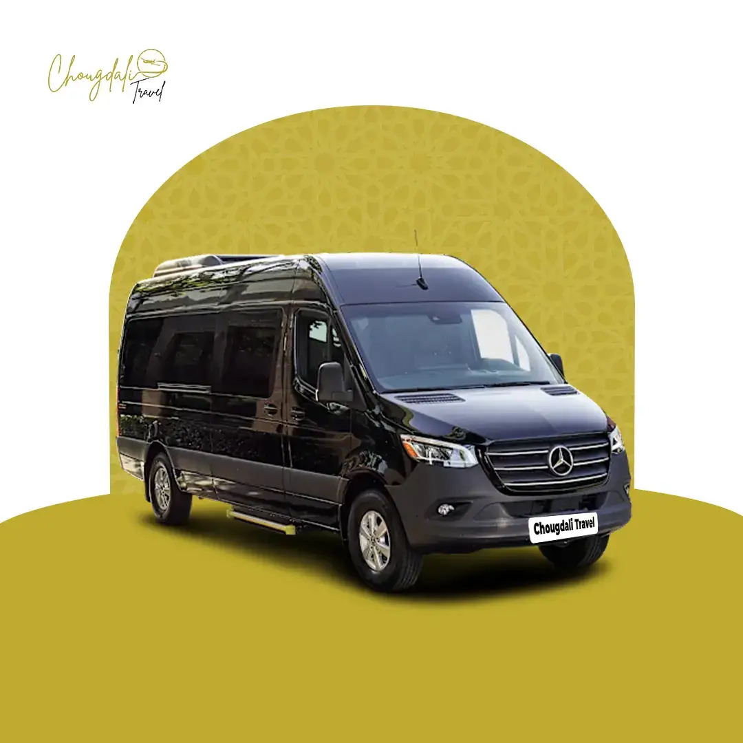Mercedes Sprinter 17