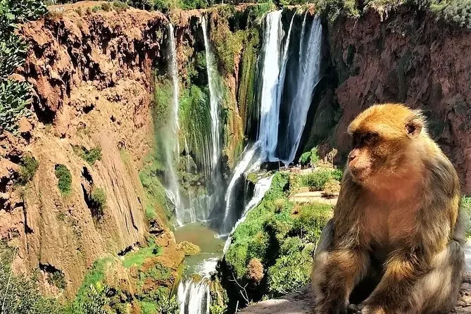 Private Ouzoud Waterfalls Day Trip – Nature, Hiking & Boat Ride