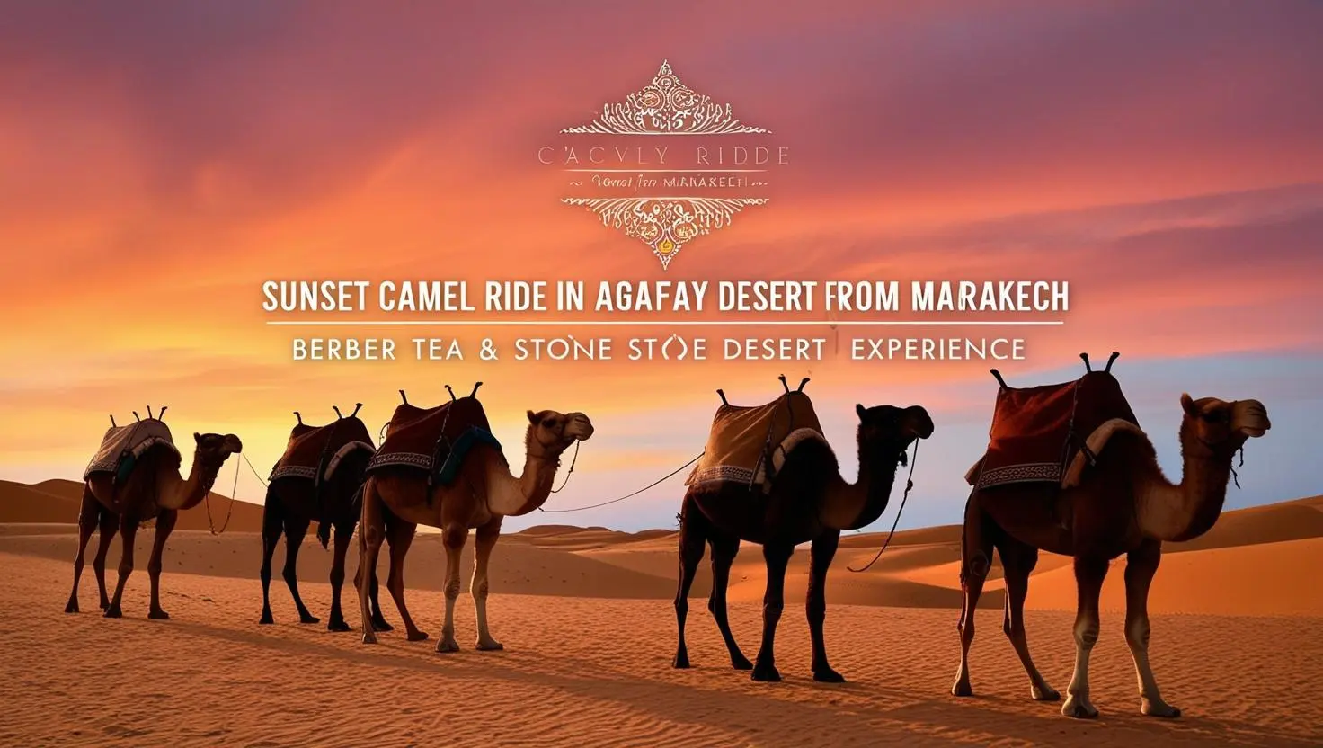 Sunset Camel Ride in Agafay Desert from Marrakech | Berber Tea & Stone Desert Experience
