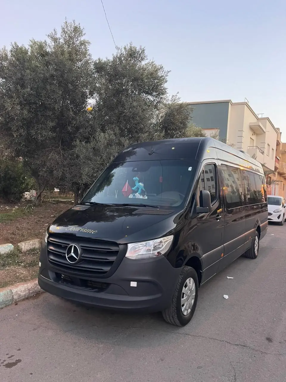 Mercedes Sprinter 17