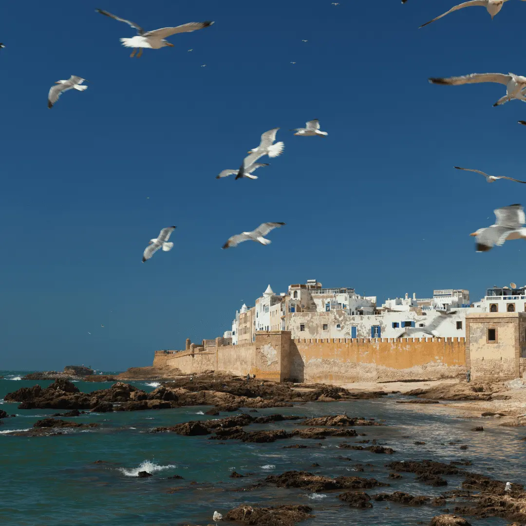 Luxury Horseback Riding from Marrakech to Essaouira | Private Coastal Morocco Tour