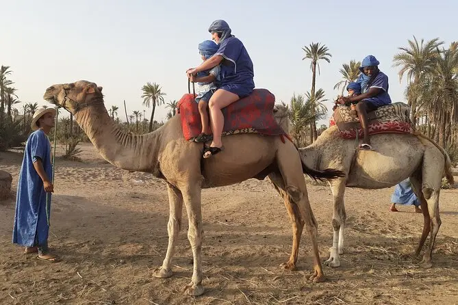 Sunset Camel Ride in Marrakech’s Palmeraie | Desert Experience & Berber Tea