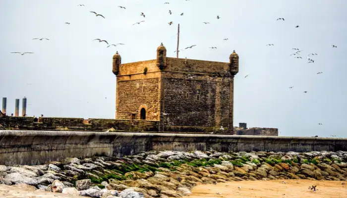 Exclusive Essaouira Day Tour from Marrakech – Private & VIP Experience