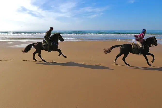 Luxury Horseback Riding from Marrakech to Essaouira | Private Coastal Morocco Tour