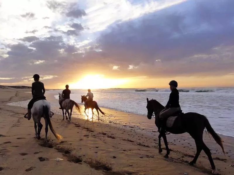 Luxury Horseback Riding from Marrakech to Essaouira | Private Coastal Morocco Tour